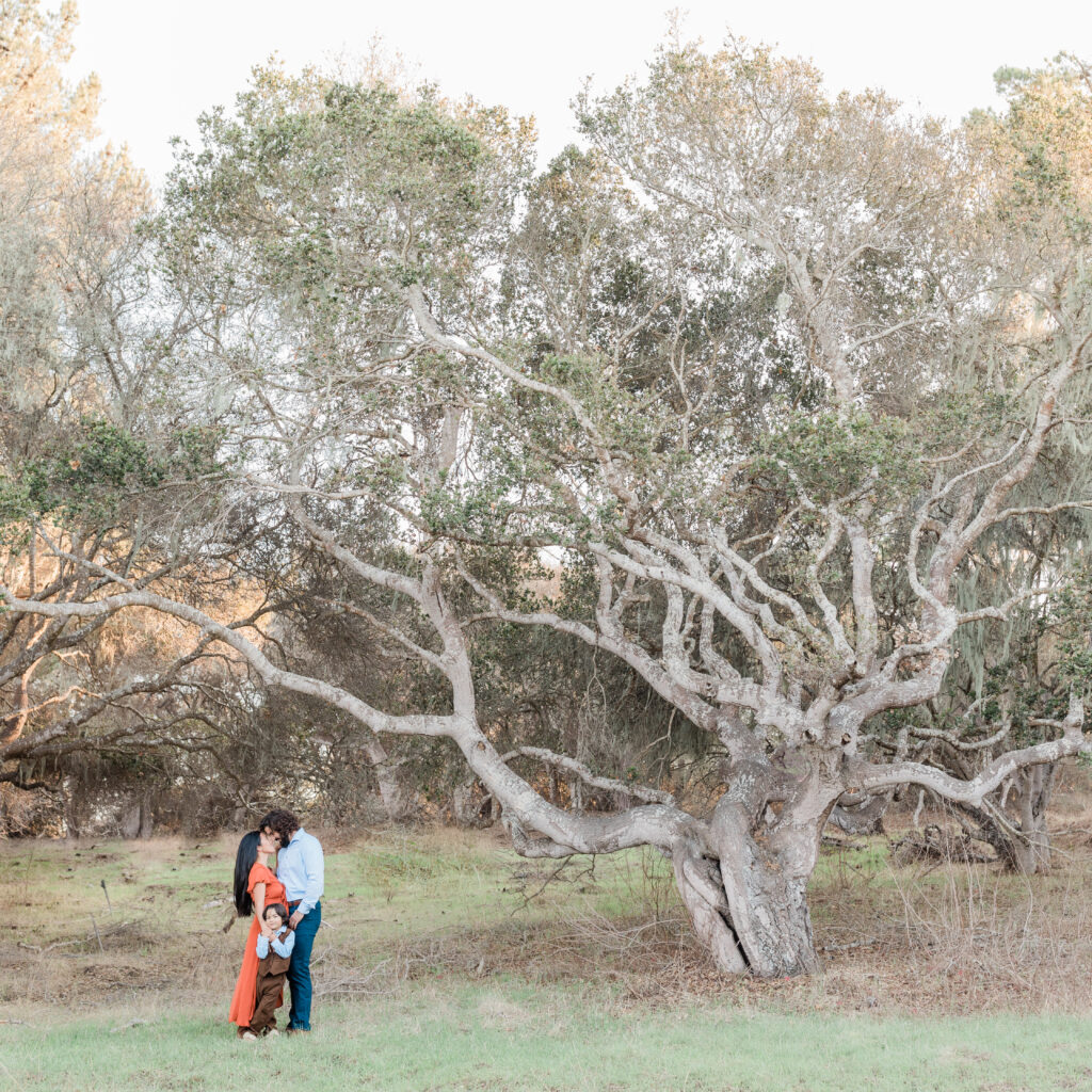 Monterey Family Photographer. Family photo in forest.